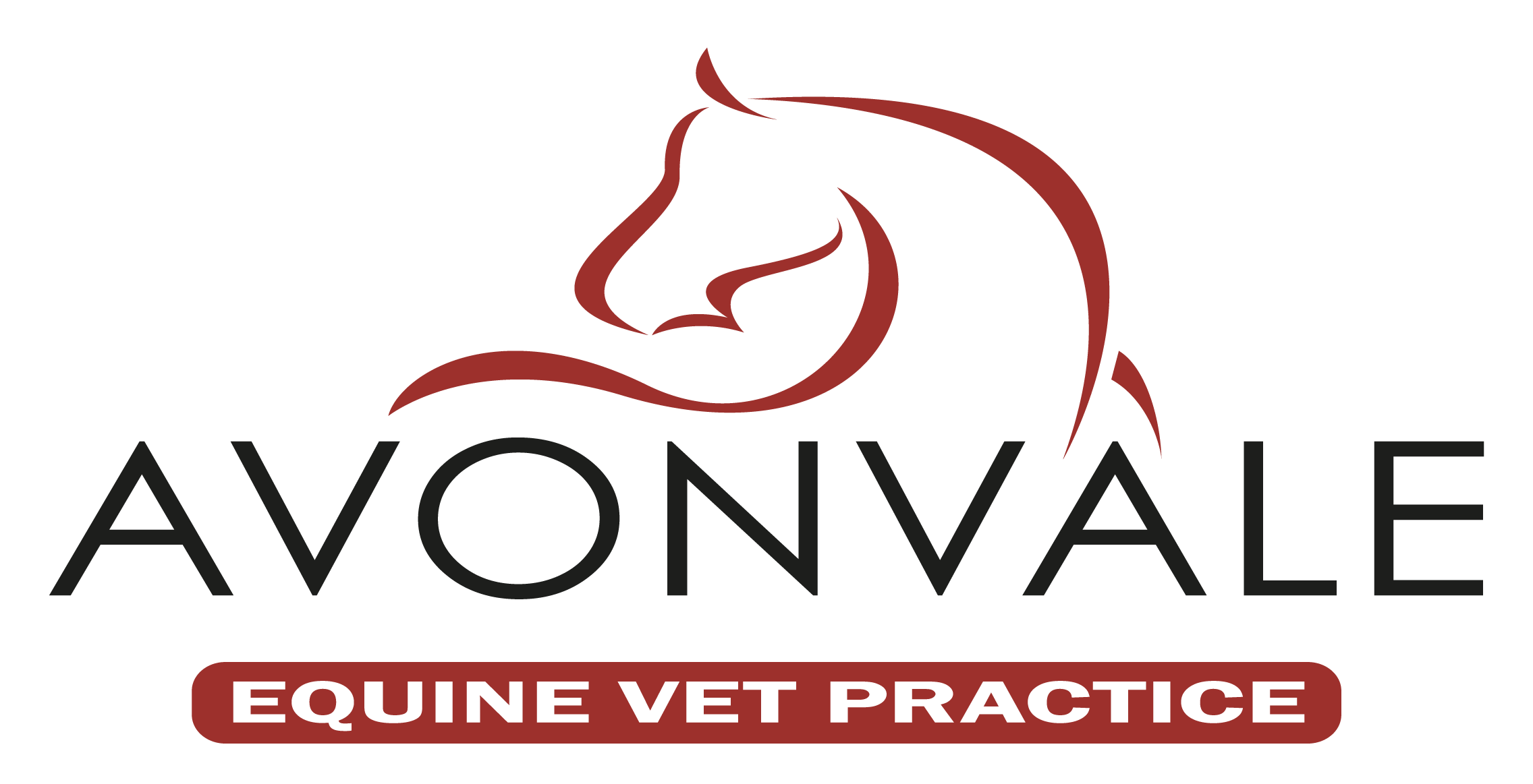 Avonvale Equine Practice