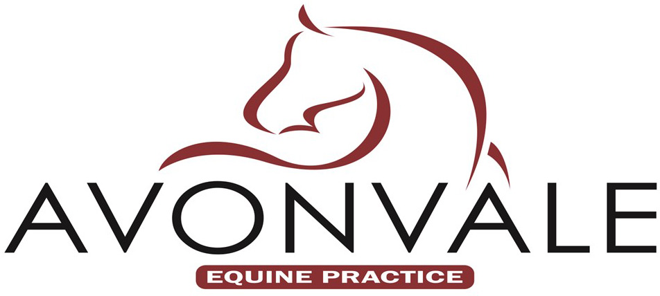 Avonvale Equine Practice